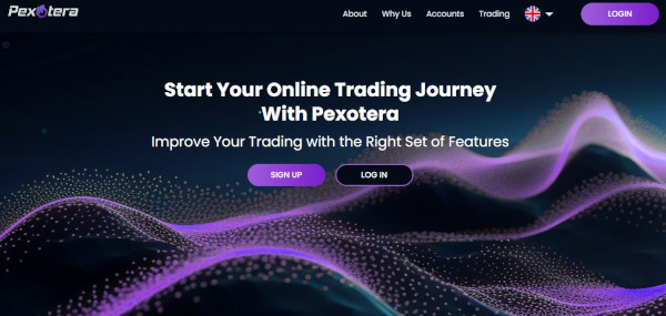 Pexotera Website